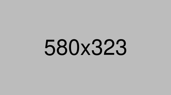 Software Service Project